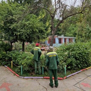 În conlucrare cu IM „Asociatia Spații Verzi”, în Grădinița nr.7 din sectorul Centru au loc lucrări de defrișare/curățare a arborilor uscați